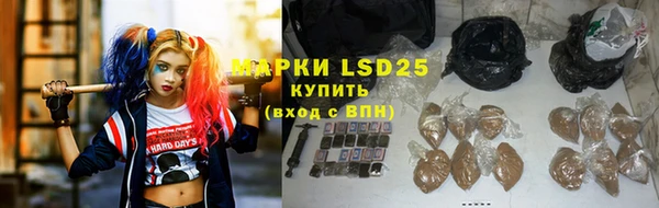 винт Вяземский