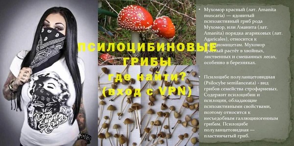 винт Вяземский