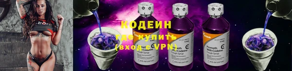 винт Вяземский
