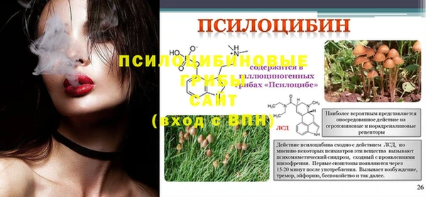 винт Вяземский