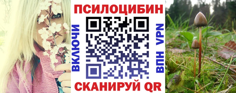 Галлюциногенные грибы Cubensis  Ковров 